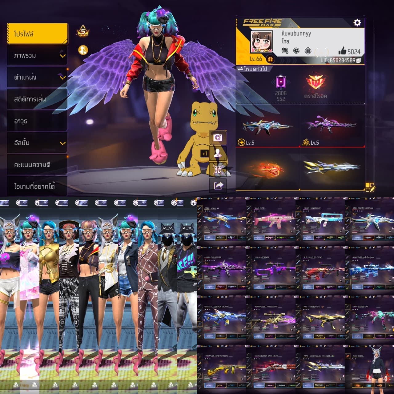 รูปตัวอย่างรหัส EP6503